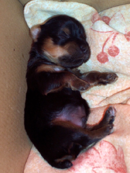 Le bébé de Biscotte en 2009